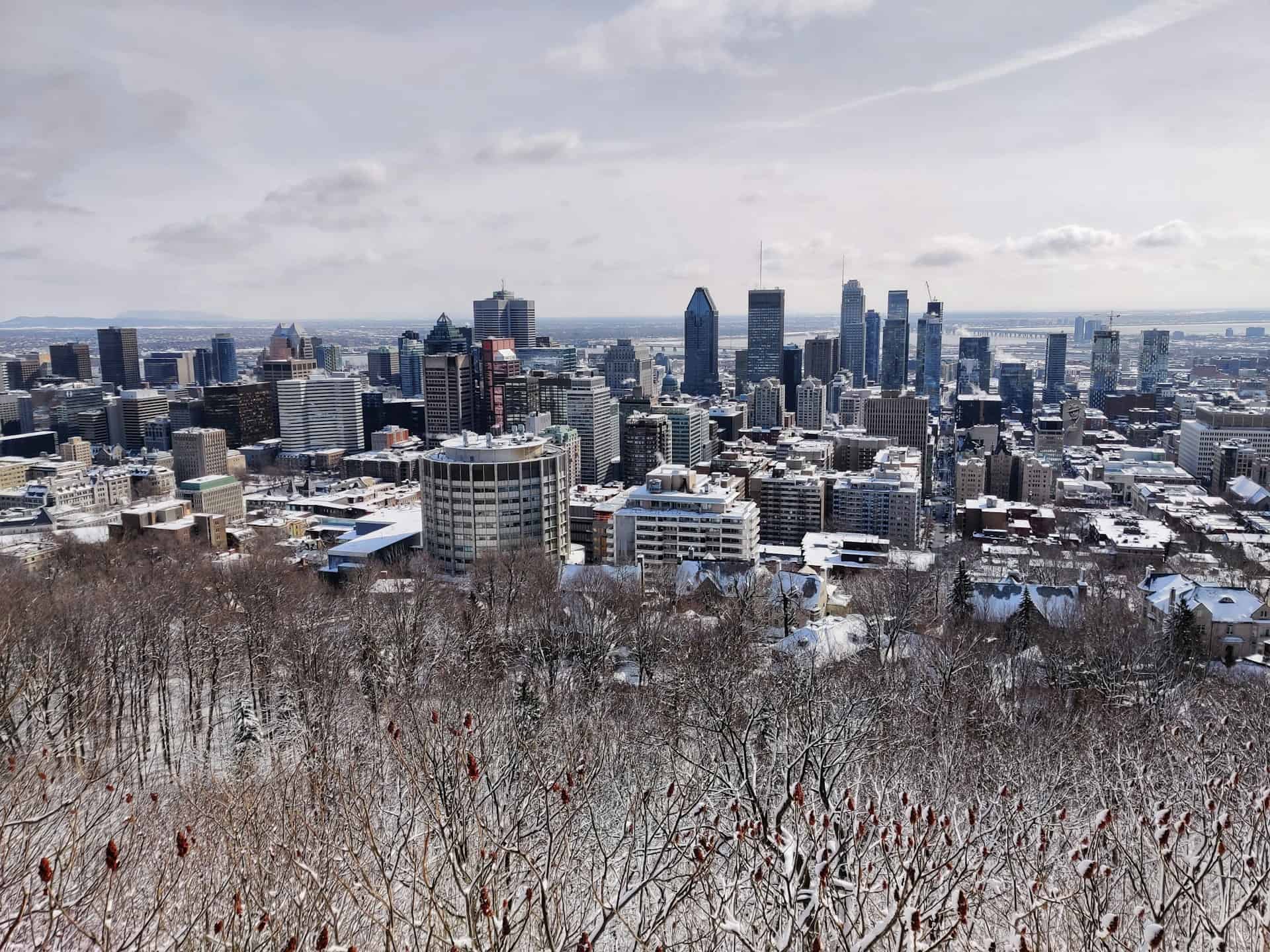 "A breathtaking panoramic view of Montreal from a lookout point, showcasing the city's skyline, landmarks, and the St. Lawrence River stretching into the horizon.
